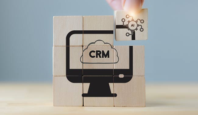 AI-CRM solution concept