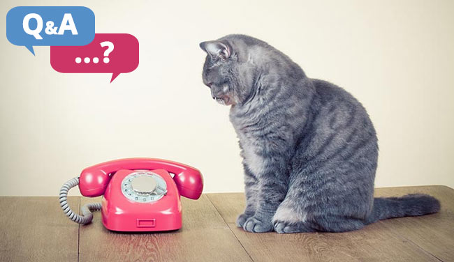 Call and Contact Centre Questions: Industry Average- Acceptable Wait Time?