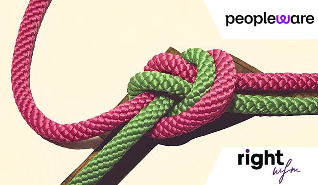 2 ropes (one pink and one green) knotted together