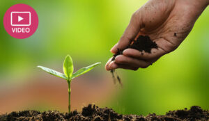 7 Quick Wins to Boost CSAT Scores