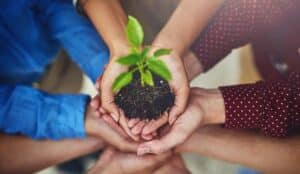 What Great Leaders Know About Team Climate and Results