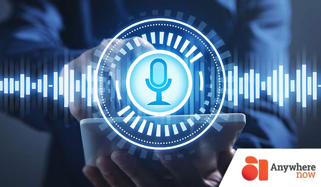 Voice assistant concept