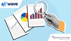 Case Study: Wave Transforms Training With Elephants Don’t Forget