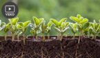 How Shifting Mindsets Improves FCR