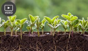 How Shifting Mindsets Improves FCR
