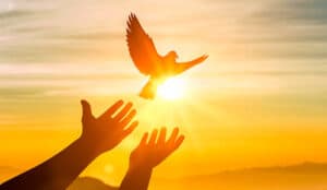 Stop Hand-Holding Your Agents – Just Like This!