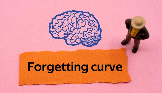 Forgetting curve written on paper with illustration of a brain