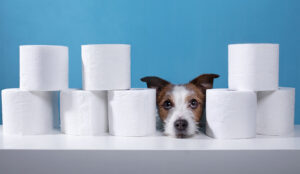 What It Really Takes to Manage Bathroom Breaks Fairly