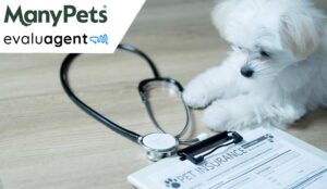 Case Study: ManyPets Increases FCR to 95% With Evaluagent