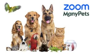 ManyPets Celebrates Success With Four Award Wins