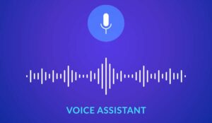Cascaded vs Fused Models: Determine Whether Your Voice Agent is Enterprise-Ready