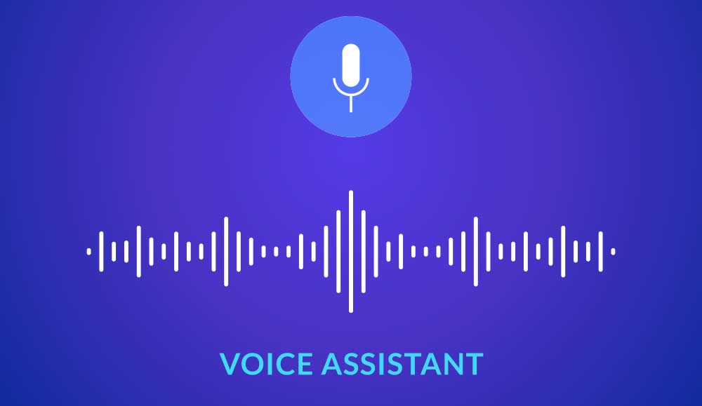 Voice assistant concept